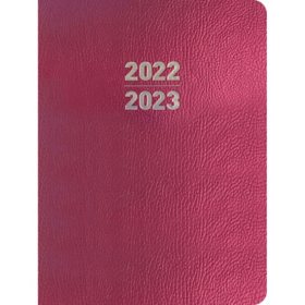 2023 Small 18-Month Planner Metal Pink