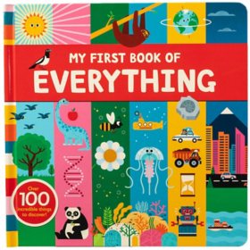 My First Book of Everything, Board Book