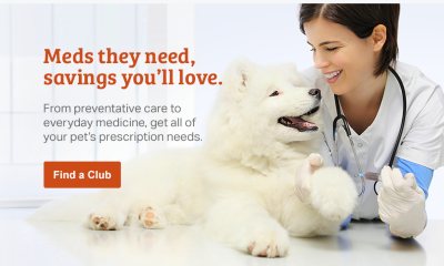 cheapest place to get pet meds
