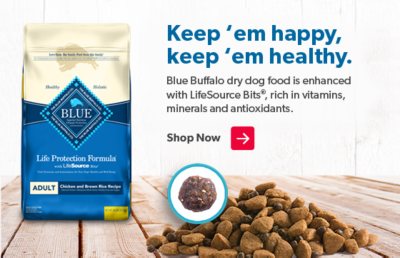 sam's club blue buffalo dog food