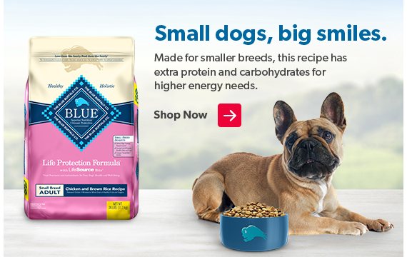 Blue buffalo dog 2025 food sam's club