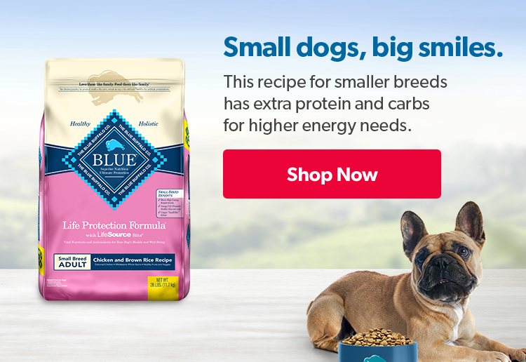 Blue collar dog clearance food