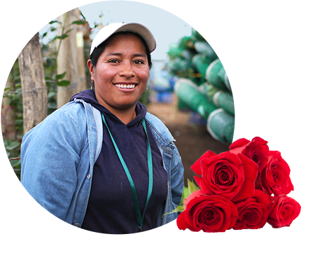 Meet Elvia, the farmer behind your face products like Member's Mark Roses.