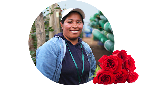 Meet Elvia, the farmer behind your face products like Member's Mark Roses.