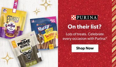 amazon coolaroo dog bed