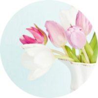 Shop Just Because Gift Cards