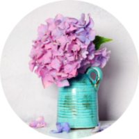 Shop Thank You Gift Cards