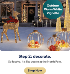 Discover decor and plenty of sparkle for every space. Shop now.