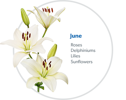 June: Roses, Delphiniums, Lilies & Sunflowers.