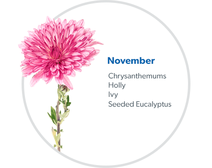 November: Chrysanthemums, Holly, Ivy & Seeded Eucalyptus.