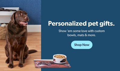 Pet Accessories - Pamper Your Pet