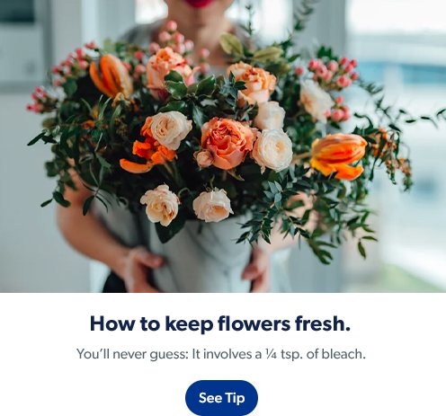 Learn how to keep flowers fresh with Clorox products. See tip.