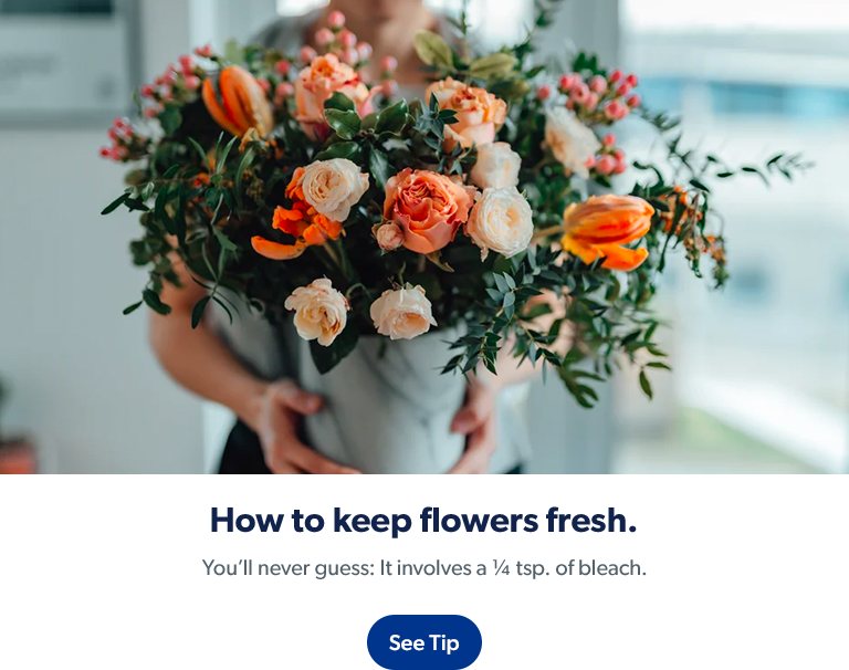 Learn how to keep flowers fresh with Clorox products. See tip.