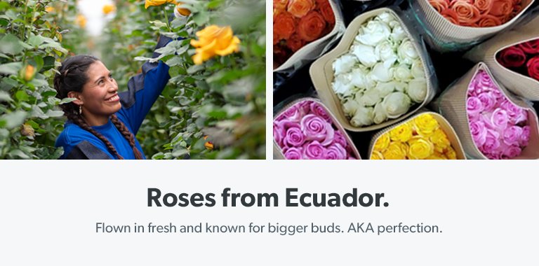 Say it in a big way with Member’s Mark roses. Sustainably grown and super-long lasting. Shop now.