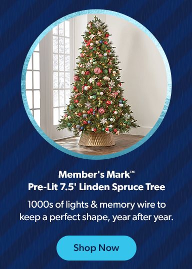 Shop Member’s Mark Linden Spruce Tree has tons of lights and keeps its shape year after year. Shop now.