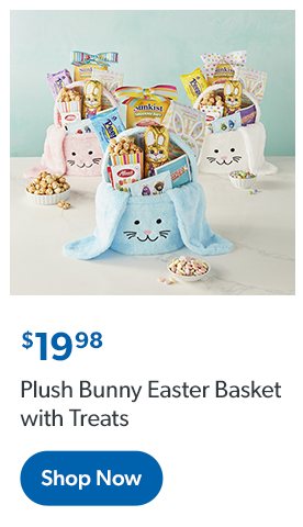 Plush Bunny Easter Basket with Treats. Nineteen dollars and ninety eight cents. Shop now.