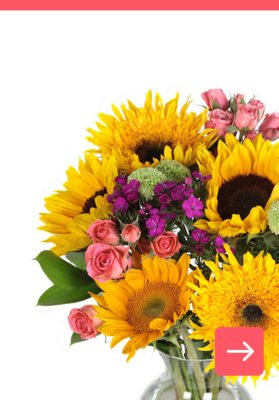 Fresh Flowers And Floral Products For Sale Sam S Club